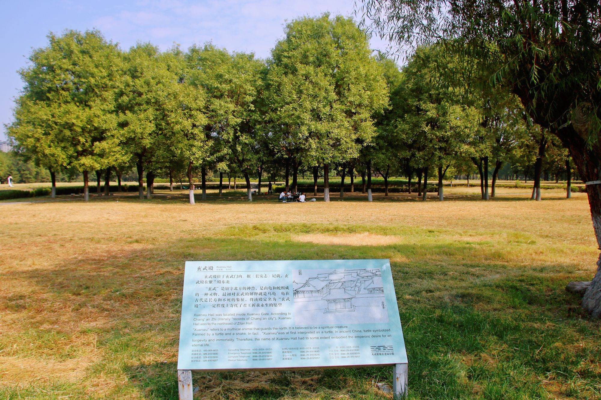 西安大明宫国家遗址公园，穿越千年古都，探秘丝绸之路的东方圣殿 (图3)