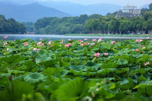 中国一生必去的10个旅游胜地，去过一半就是旅行家，你达标了吗？ (图4)