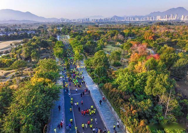 不只是跑步!温州三垟湿地这场活动,让体育流量变文旅热潮(图5) 不只是跑步!温州三垟湿地这场活动,让体育流量变文旅热潮(图5)