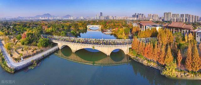 不只是跑步!温州三垟湿地这场活动,让体育流量变文旅热潮(图6) 不只是跑步!温州三垟湿地这场活动,让体育流量变文旅热潮(图6)