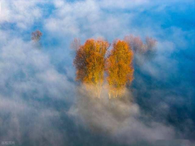 贵州威宁藏惊喜！1 片云海美到窒息，2200 米高原的冬日限定仙境 (图2)