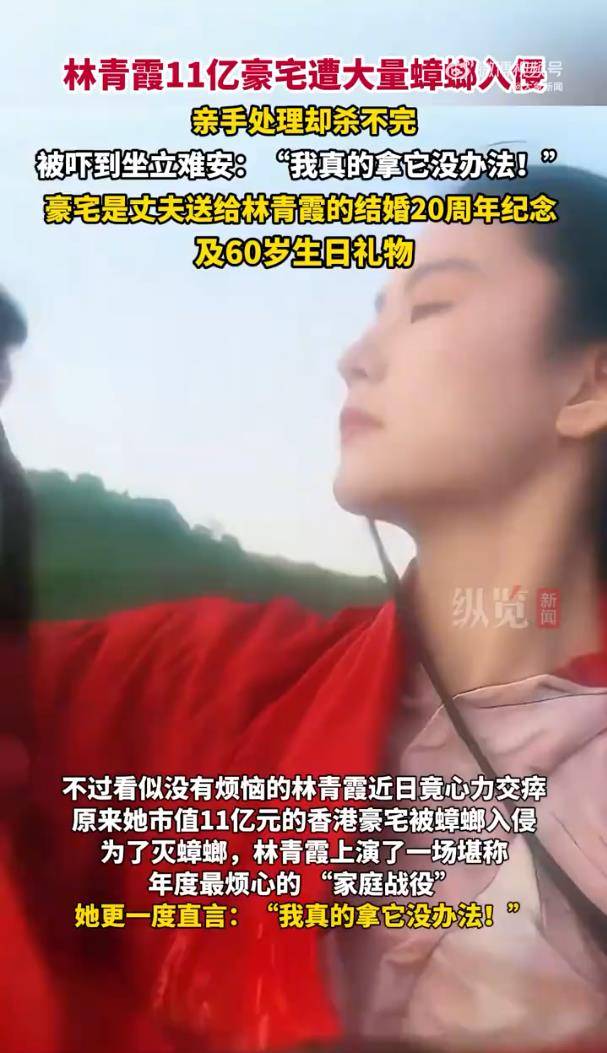 林青霞自曝豪宅遭大量蟑螂入侵,戴上手套空手抓蟑螂 (图3) 林青霞自曝豪宅遭大量蟑螂入侵,戴上手套空手抓蟑螂 (图3)