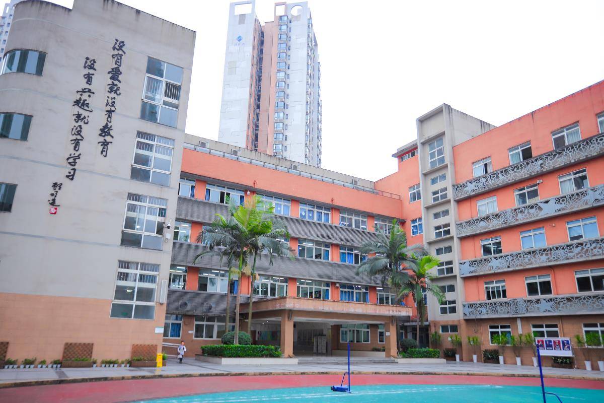 重庆一小学禁止“二手房”业主孩子入读,当地:孩子多学校容量小,已调研后期可能调整 (图2) 重庆一小学禁止“二手房”业主孩子入读,当地:孩子多学校容量小,已调研后期可能调整 (图2)