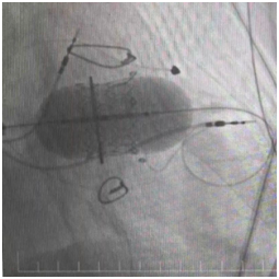 8z4XLVf9n6KwuQIM.png image.png