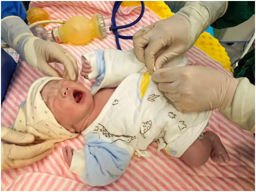 B9Y8aW24edrQTBF8.png image.png