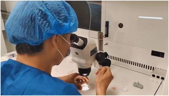 Ip8FXjr8dru3Pt1I.png image.png