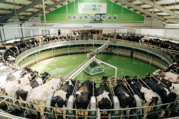 pFRPD1x7pQBQGChn.png image.png