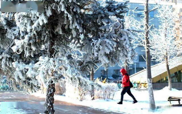 南方人羡慕哭！沈阳北运河雾凇，把冬天美成童话世界 (图9)