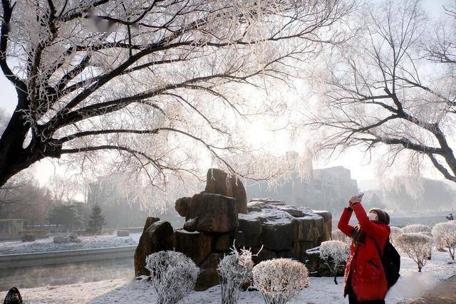 南方人羡慕哭！沈阳北运河雾凇，把冬天美成童话世界 (图11)