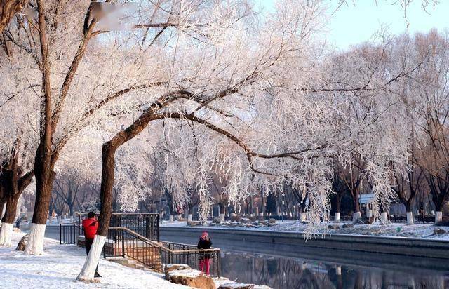 南方人羡慕哭！沈阳北运河雾凇，把冬天美成童话世界 (图12)