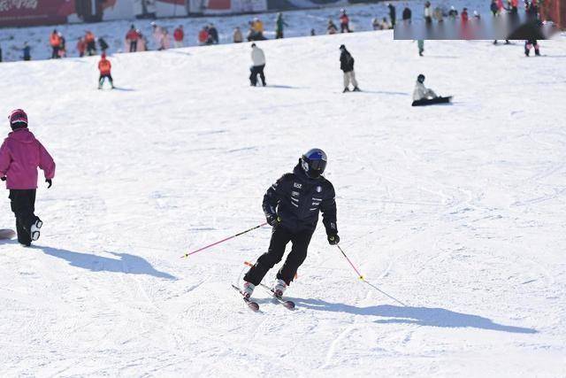  从早嗨到晚！潍坊滑雪场单日客流破千，冬季遛娃新地标诞生 (图14)