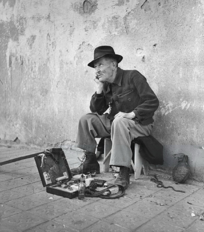 巴塞罗那 1951年