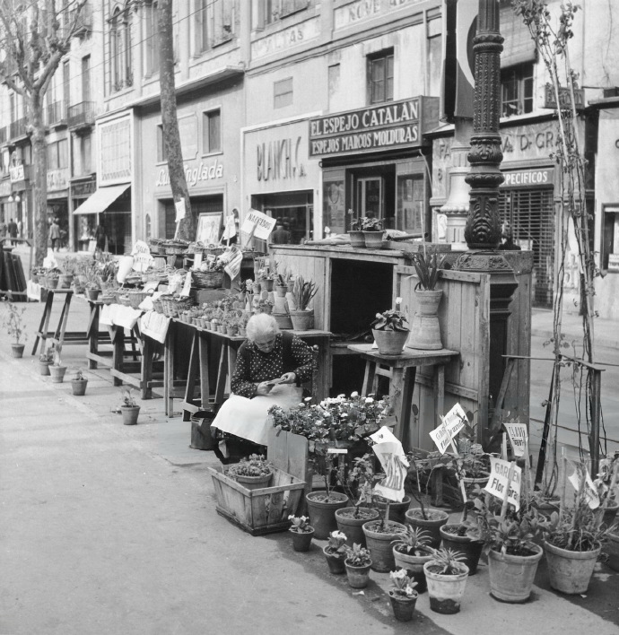 巴塞罗那 1951年