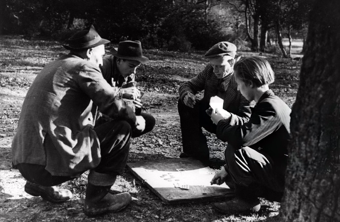 树下的贫民窟 英格兰汉普郡新森林，1949年