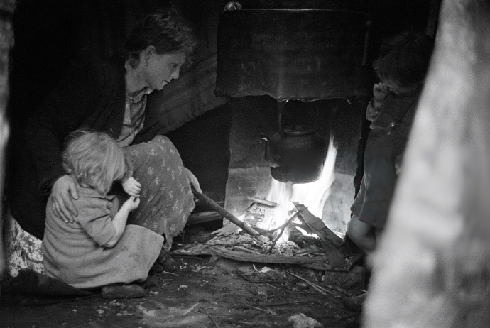 树下的贫民窟 英格兰汉普郡新森林，1949年