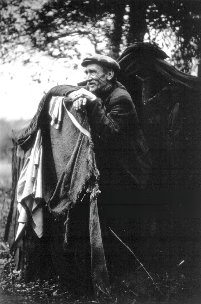 树下的贫民窟 英格兰汉普郡新森林，1949年