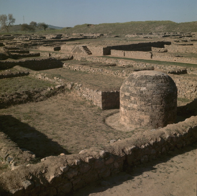 巴基斯坦 1964年