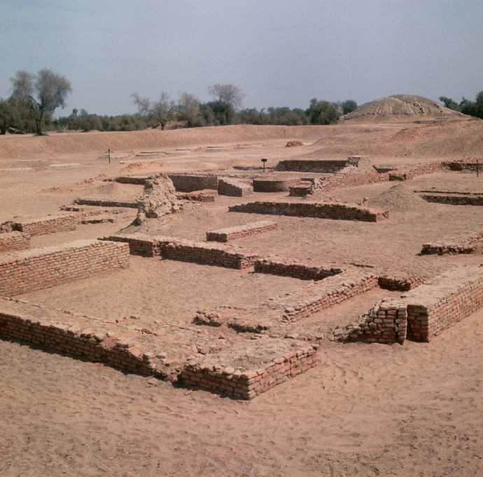 巴基斯坦 1964年