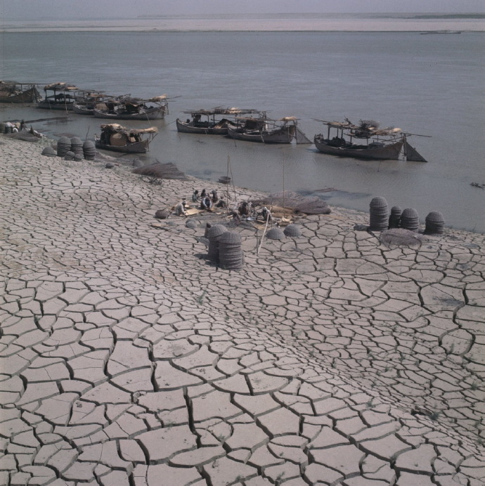 巴基斯坦 1964年