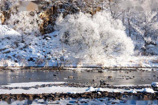 12 个字解锁雾凇之美!黑龙江库尔滨,藏着北国最治愈的冬日秘境 (图19) 12 个字解锁雾凇之美!黑龙江库尔滨,藏着北国最治愈的冬日秘境 (图19)