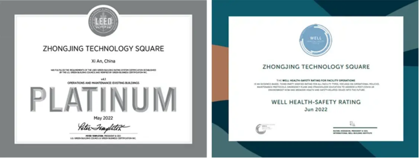 CNGud50gd9HZQz8V.png image.png