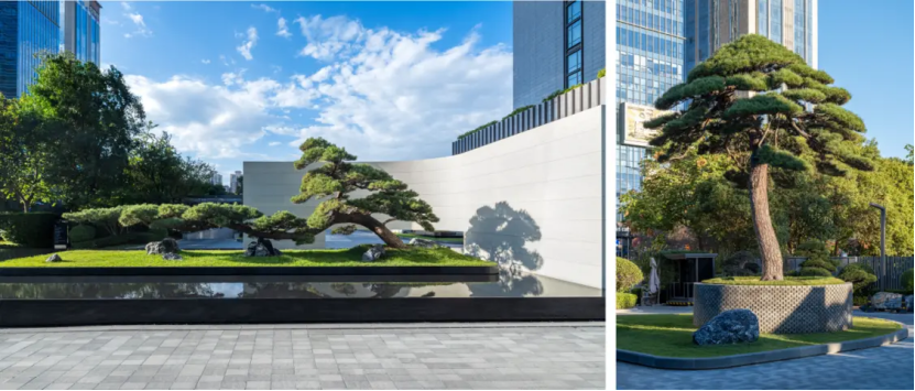 y0plQu6f0qgM5bo9.png image.png