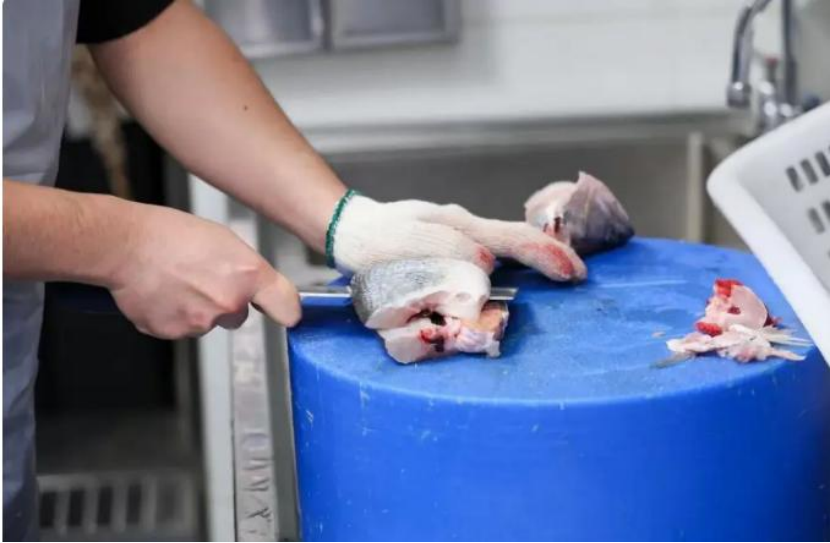 Y04xJ2W2paG5P9W7.png image.png