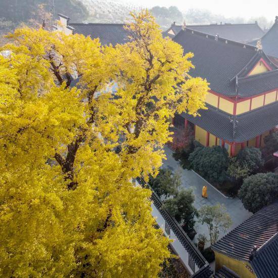 从千年古镇到摩天楼群,这条路线带你漫游浦东(图3) 从千年古镇到摩天楼群,这条路线带你漫游浦东(图3)