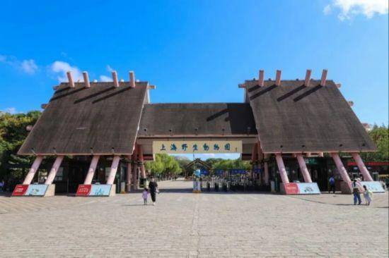 从千年古镇到摩天楼群,这条路线带你漫游浦东(图13) 从千年古镇到摩天楼群,这条路线带你漫游浦东(图13)