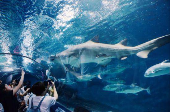 从千年古镇到摩天楼群,这条路线带你漫游浦东(图14) 从千年古镇到摩天楼群,这条路线带你漫游浦东(图14)