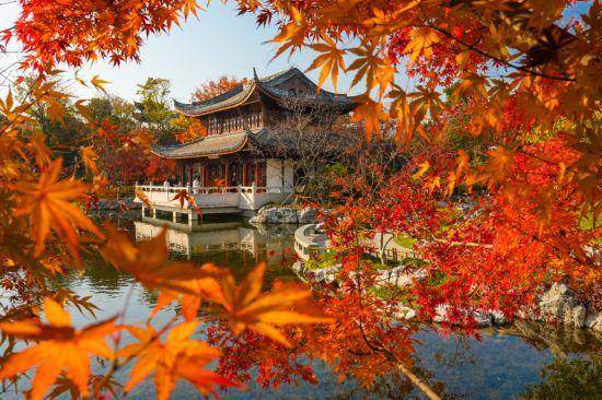 从千年古镇到摩天楼群,这条路线带你漫游浦东(图17) 从千年古镇到摩天楼群,这条路线带你漫游浦东(图17)