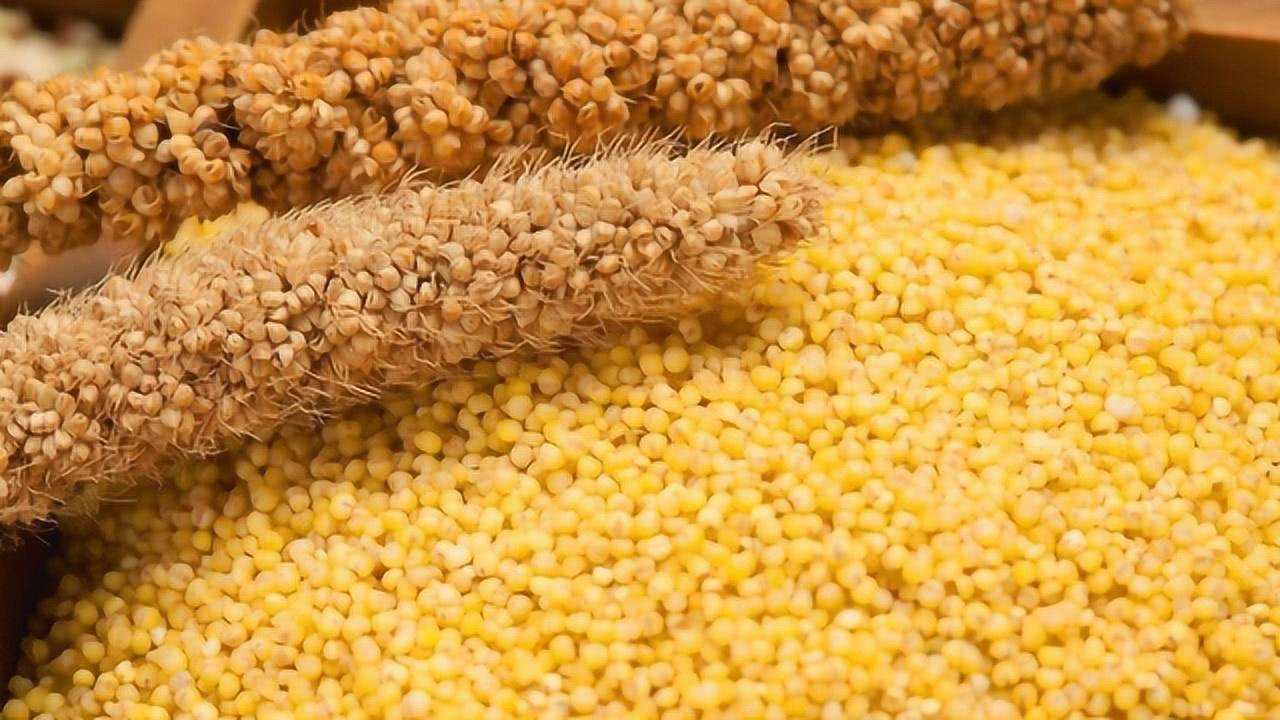 粟粥与炊饼：先秦与宋代穷人的饮食鸿沟(图1)