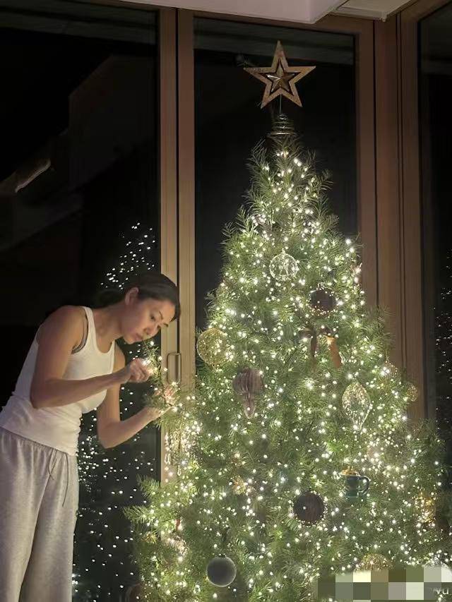 TVB视后布置圣诞装饰，屋内装修大气，前不久突然宣布结婚 (图3)