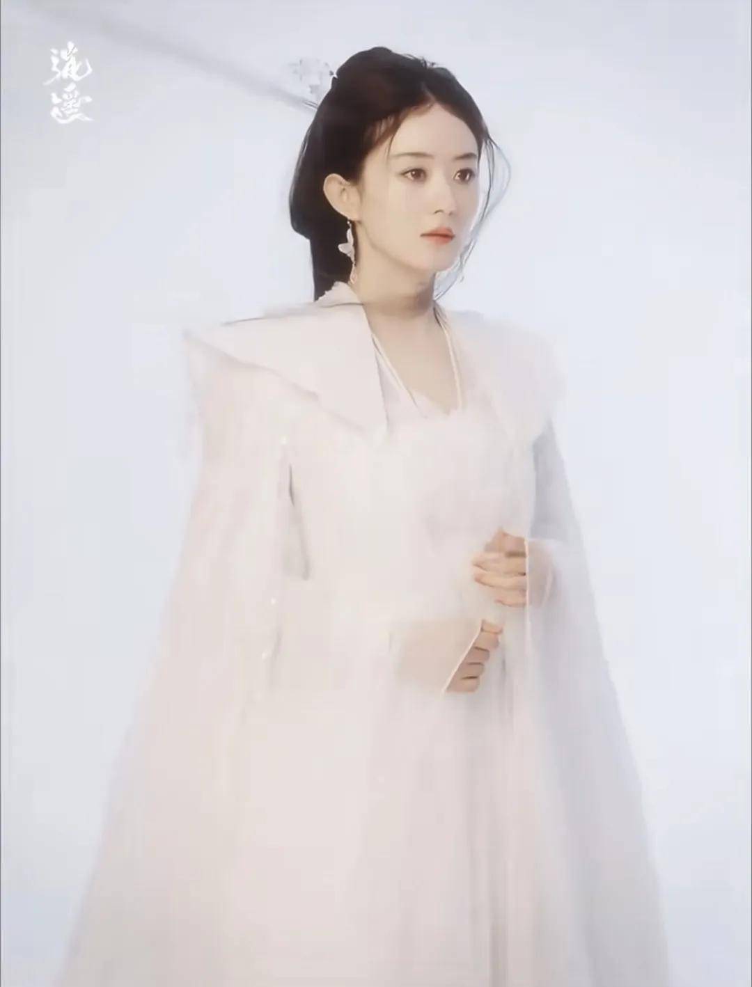 赵丽颖最新古装造型曝光，精修都掩饰不住疲态，200多天没进组了 (图7)