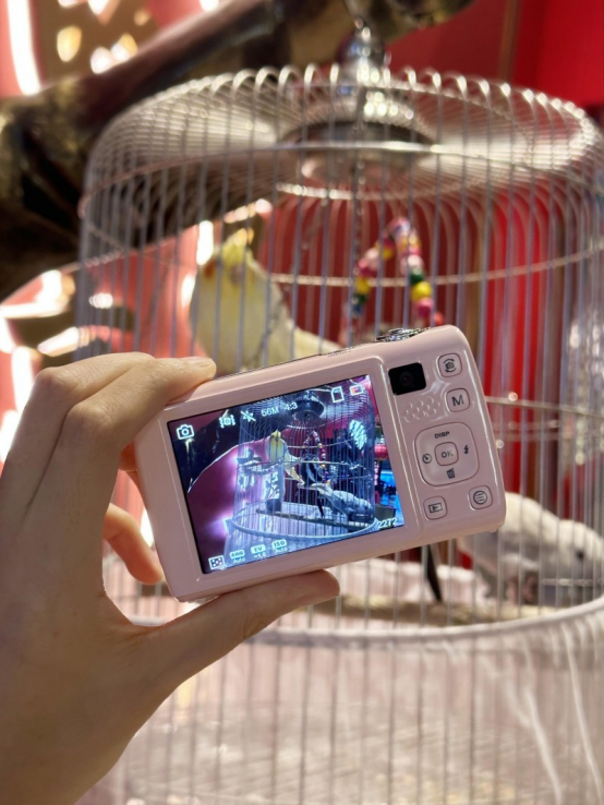 xOy3ifeJTV9L0xLB.png image.png