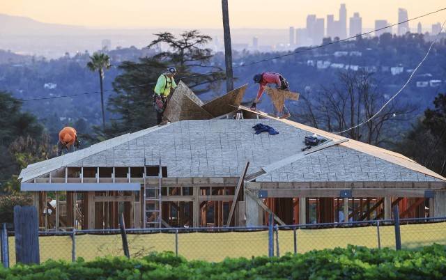 2025年，生命总会找到自己的出路 (图2)