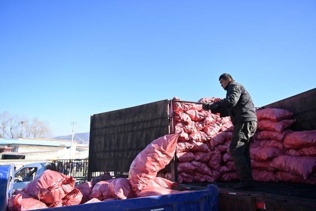 2025年，生命总会找到自己的出路 (图3)