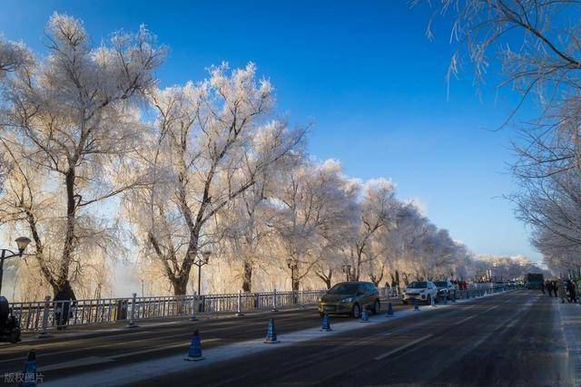 想看雾凇别瞎跑！吉林阿什哈达这 5 个观赏秘诀，帮你避开空跑遗憾 (图7)