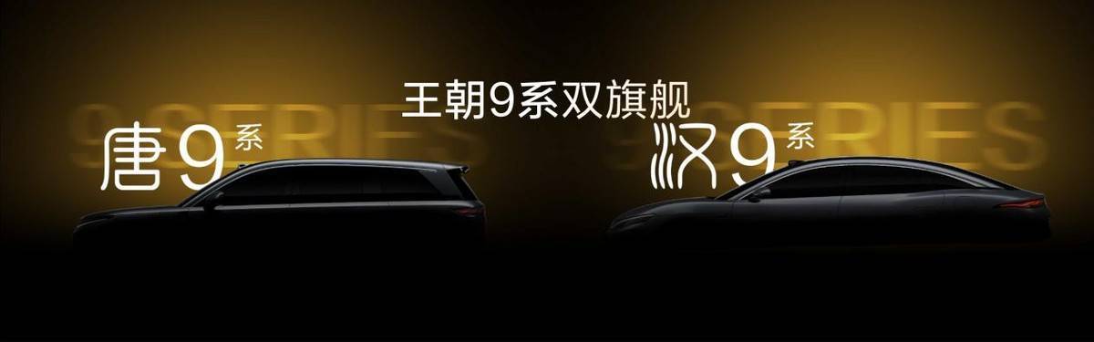 比亚迪“9系”新车征名引热议：文化命名与数字命名谁更胜一筹？(图1)