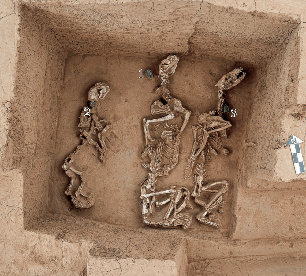 3000多年前商代的“野生动物园”，被发现了 (图1)