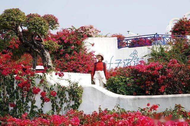 北境飘雪南园绽，青秀山用一场菊花展，藏住南宁冬日顶流密码！(图3)