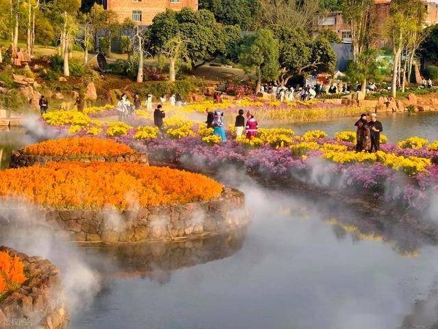 北境飘雪南园绽，青秀山用一场菊花展，藏住南宁冬日顶流密码！(图8)