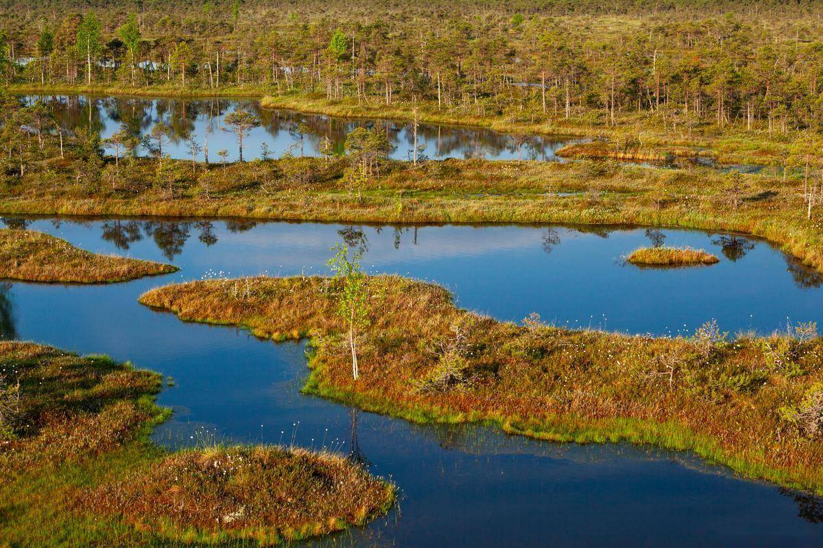 湿地为证,山河作答,回顾总书记关于湿地保护的殷殷叮嘱! (图3) 湿地为证,山河作答,回顾总书记关于湿地保护的殷殷叮嘱! (图3)