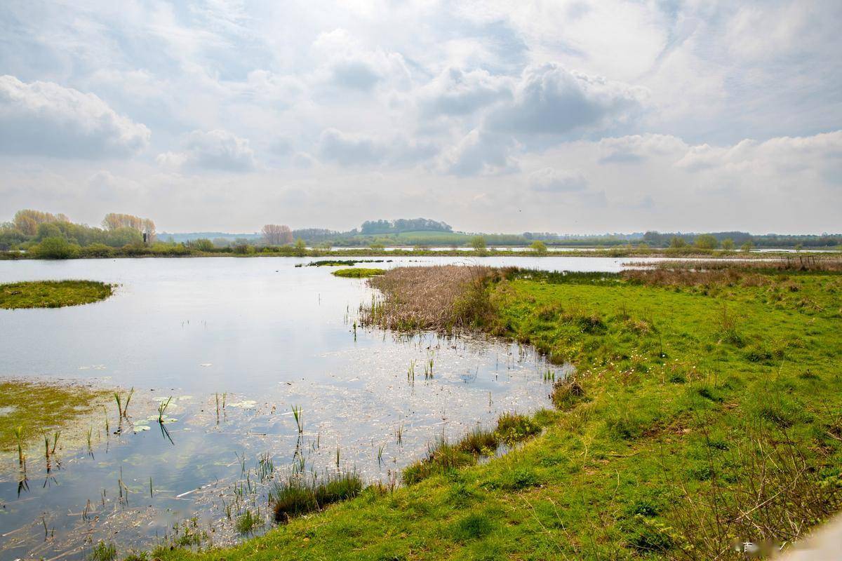 湿地为证,山河作答,回顾总书记关于湿地保护的殷殷叮嘱! (图2) 湿地为证,山河作答,回顾总书记关于湿地保护的殷殷叮嘱! (图2)