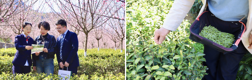 pMNLFio2V0HAnWaQ.png image.png